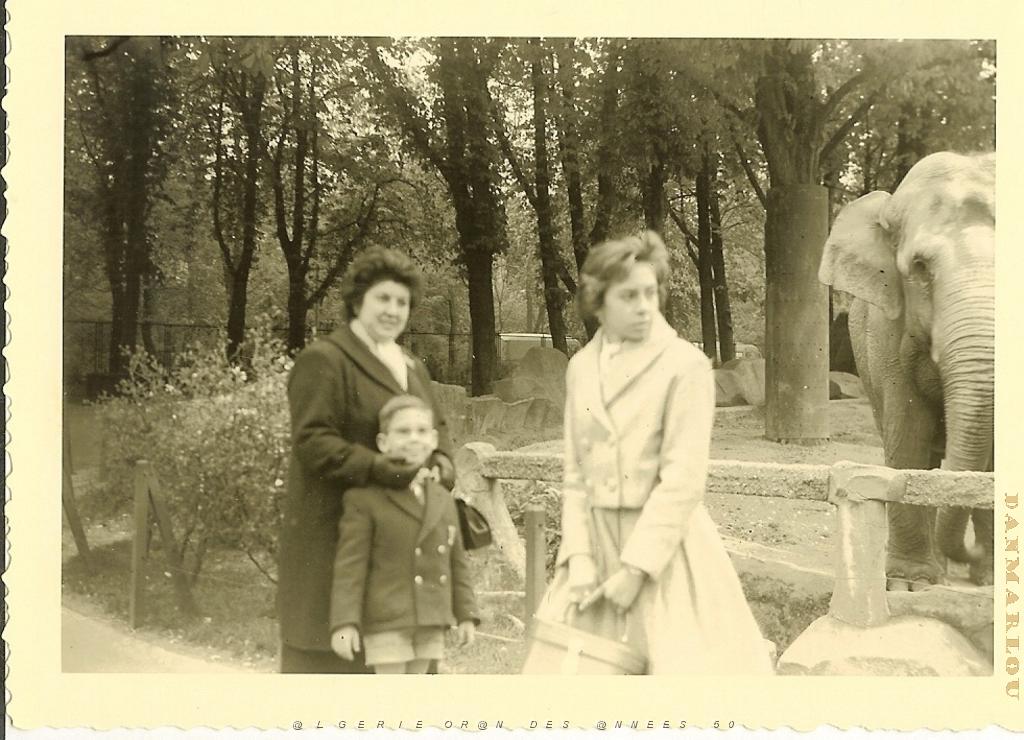 FAMILLE 015 VINCENNES 1960 PAS TROP RASSUREE.jpg